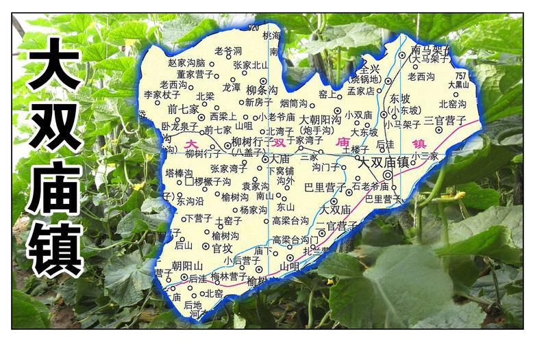 大双庙镇地图