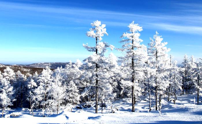 牙克石冬日雪景