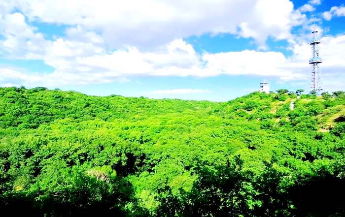 大青沟国家级自然保护区