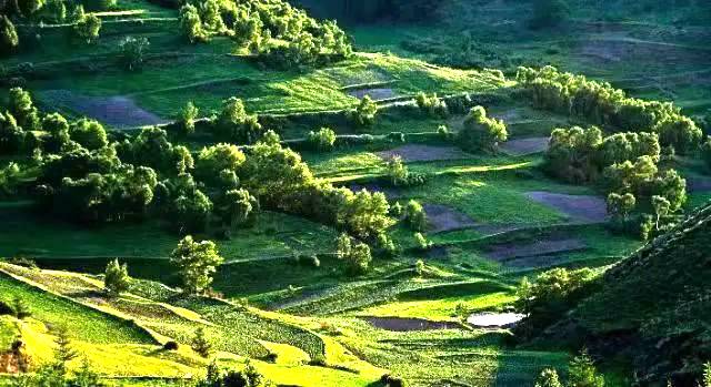 苏木山森林公园花田草海