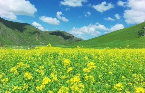 黄花沟草原旅游区