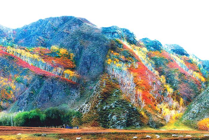 红召九龙湾生态旅游区