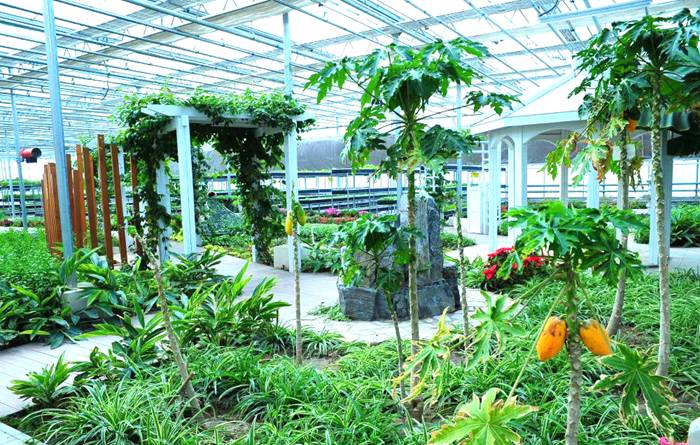 蒙根花万通生态旅游区创意馆 蒙根花万通生态旅游区创意馆