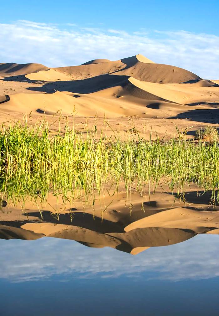 银肯塔拉沙漠绿洲自然生态旅游区