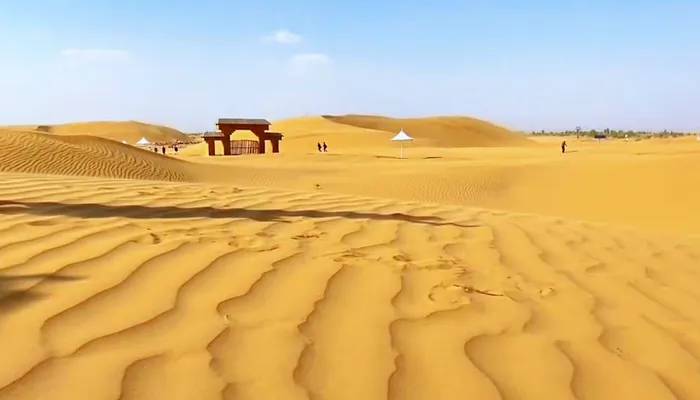 银肯塔拉沙漠绿洲自然生态旅游区 银肯塔拉沙漠绿洲自然生态旅游区