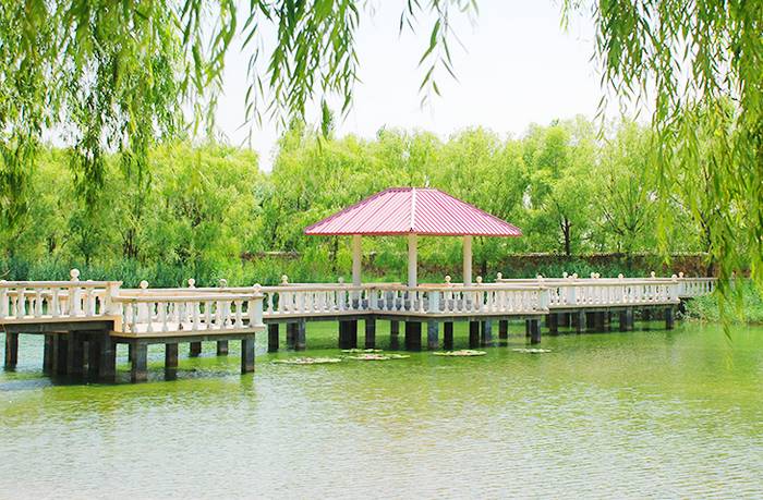 恩格贝沙漠生态旅游区