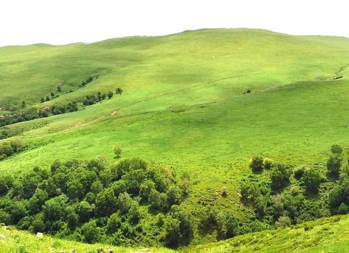 春坤山生态旅游景区 春坤山生态旅游景区