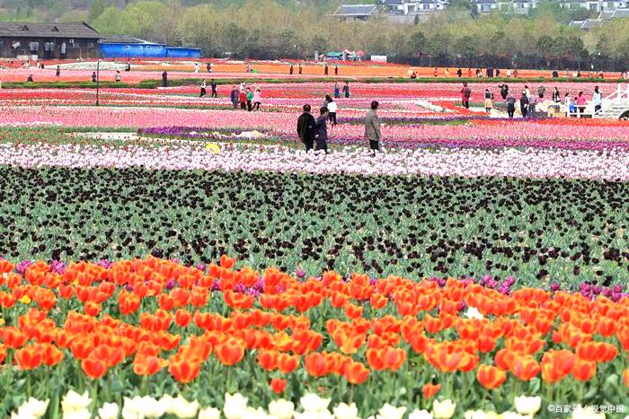 花舞人间旅游景区