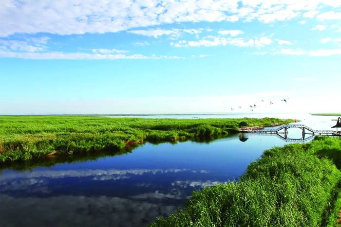 乌梁素海生态旅游区