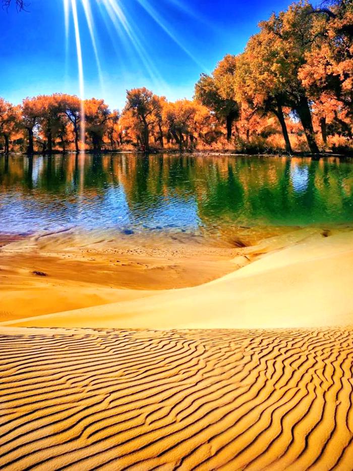 额济纳·胡杨林旅游区