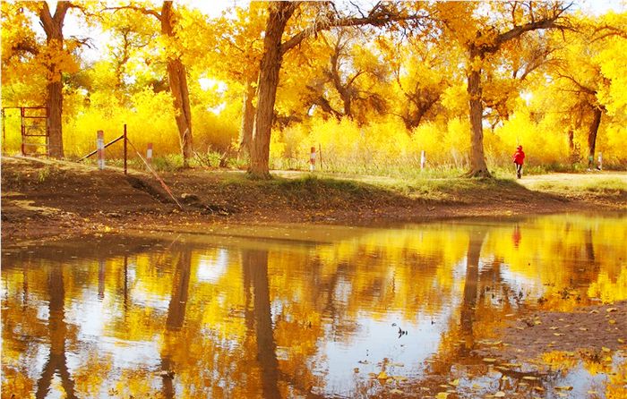 额济纳·胡杨林旅游区