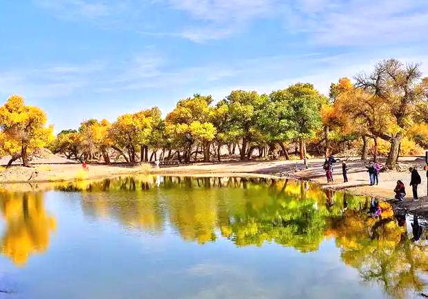 大漠胡杨生态旅游区