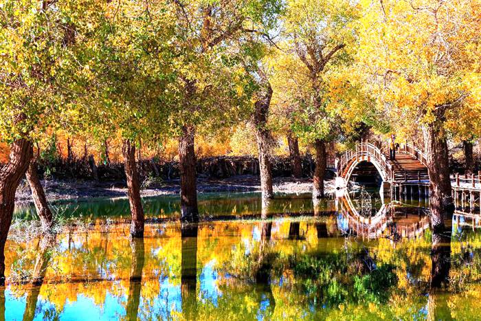 大漠胡杨生态旅游区 大漠胡杨生态旅游区