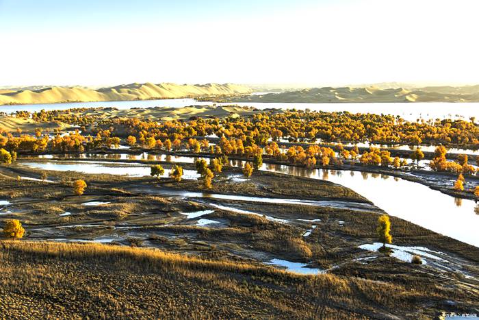 大漠胡杨生态旅游区