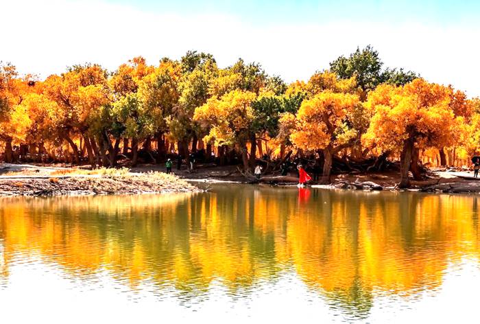 黑城·弱水胡杨风景区