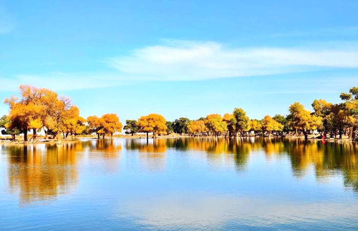 黑城·弱水胡杨风景区