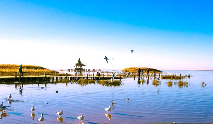 居延海景区 居延海景区