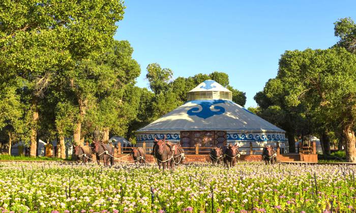 巴彦陶来苏木东归纪念地—土尔扈特民俗文化园