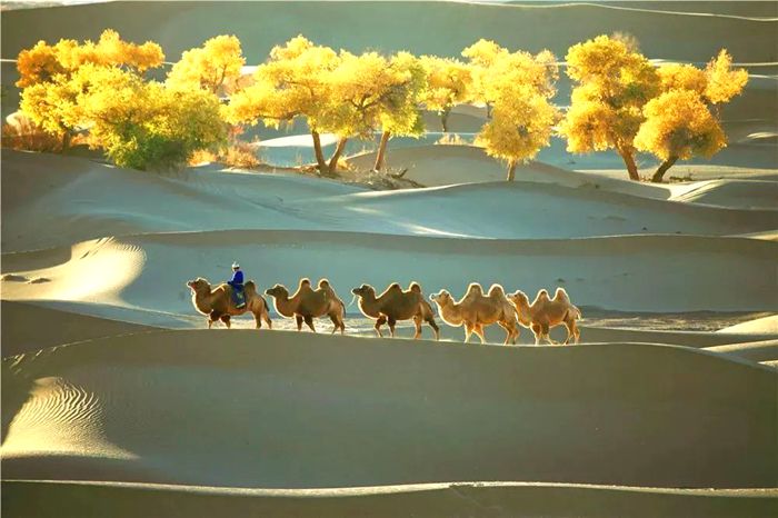 赛汉陶来苏木 赛汉陶来苏木