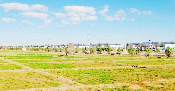 塔木素格布拉格苏木