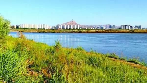 巴音陶亥镇黄河湿地
