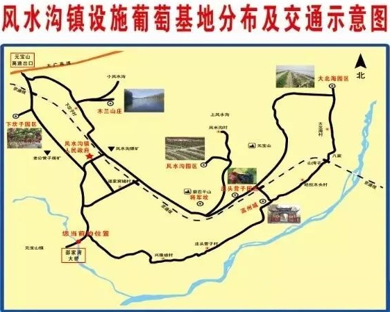 风水沟镇设施葡萄基地 风水沟镇设施葡萄基地