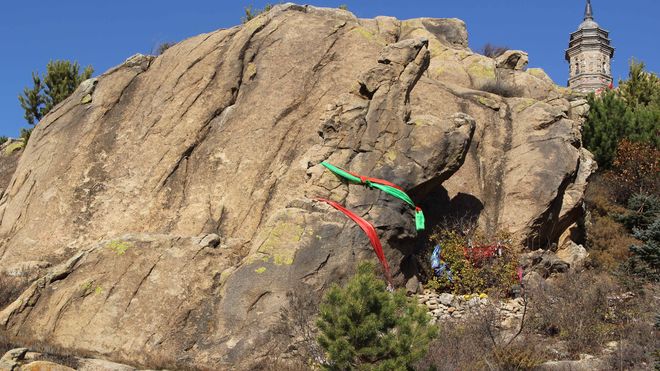 静安寺塔后的金龟祈寿石 静安寺塔后的金龟祈寿石