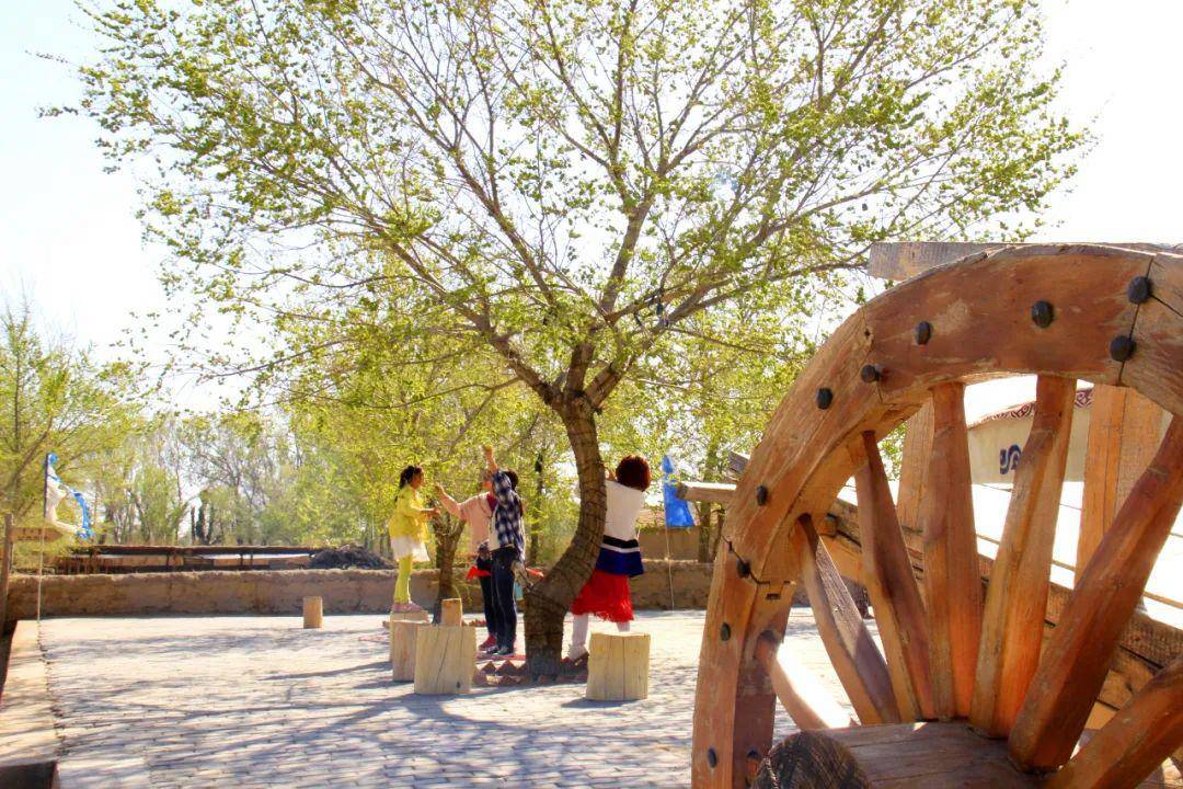 白音他拉苏木庙屯村