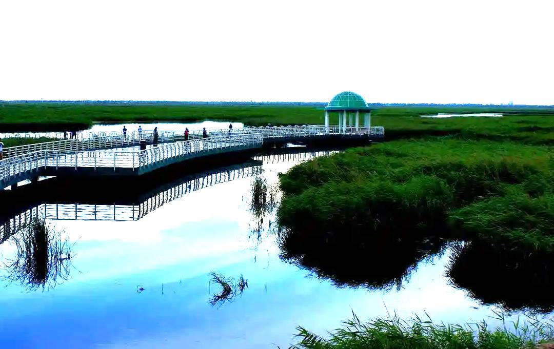 孟家段湿地公园