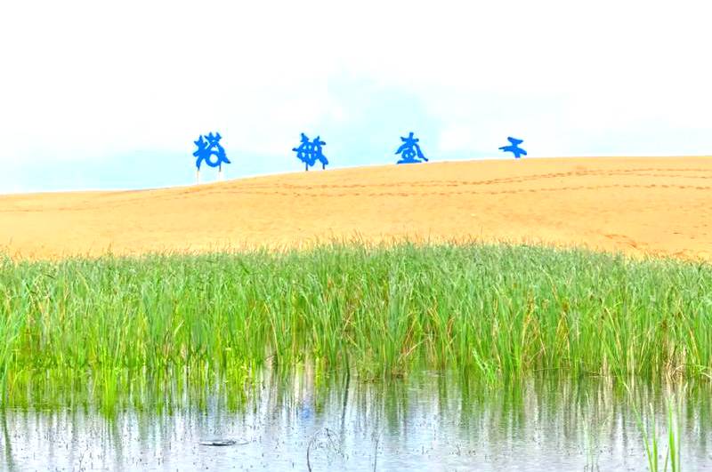 塔敏查干沙漠旅游区