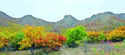 蒙格罕山生态旅游景区
