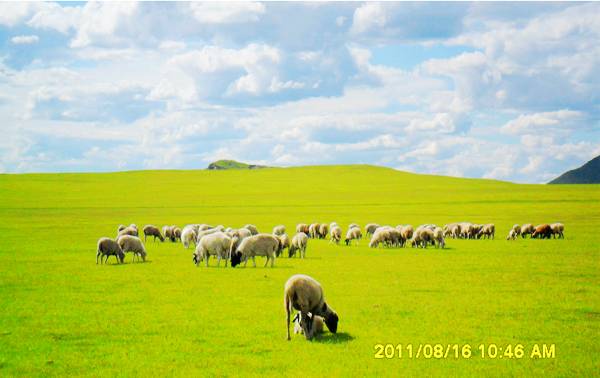 额木庭高勒草原