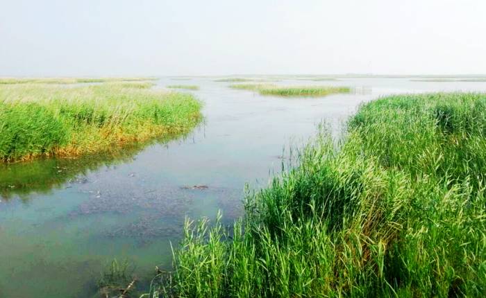 沙岛湖生态旅游景区