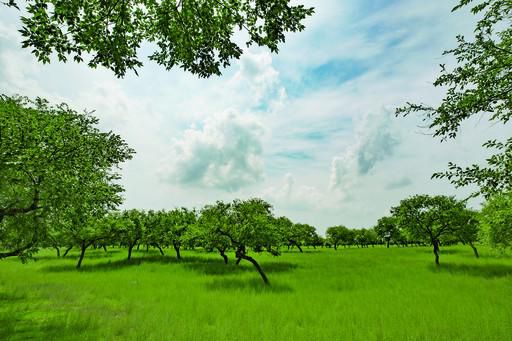 毛仁塔拉草原—科尔沁腹地美丽疏林草原