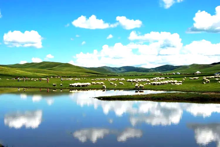 赛罕乌拉国家级自然保护区