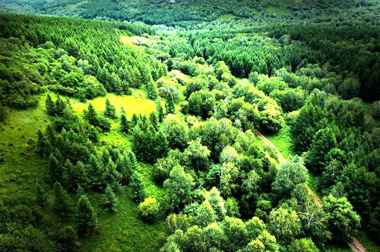 赛罕乌拉国家级自然保护区