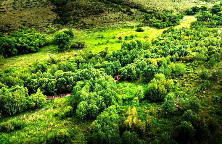 赛罕乌拉国家级自然保护区