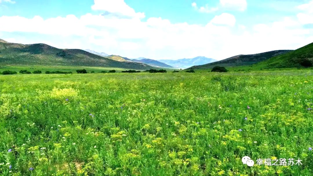 幸福之路苏木朱日和草原