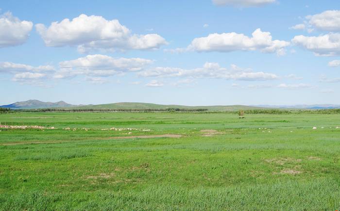 巴彦塔拉苏草原