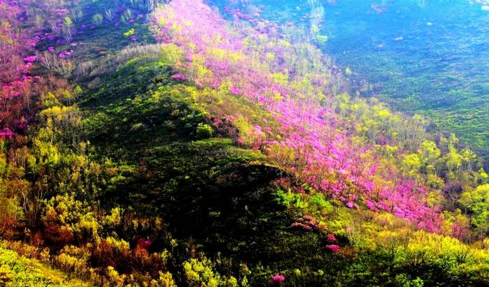 碧流台镇大良沟 碧流台镇大良沟