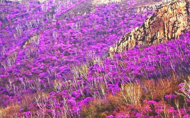 碧流台镇大良沟 碧流台镇大良沟