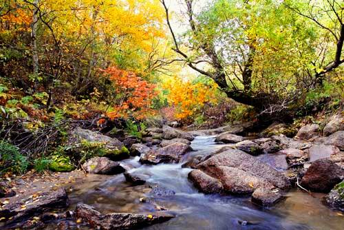 老爷洞沟风景区