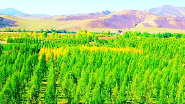 乌兰坝林场旅游区