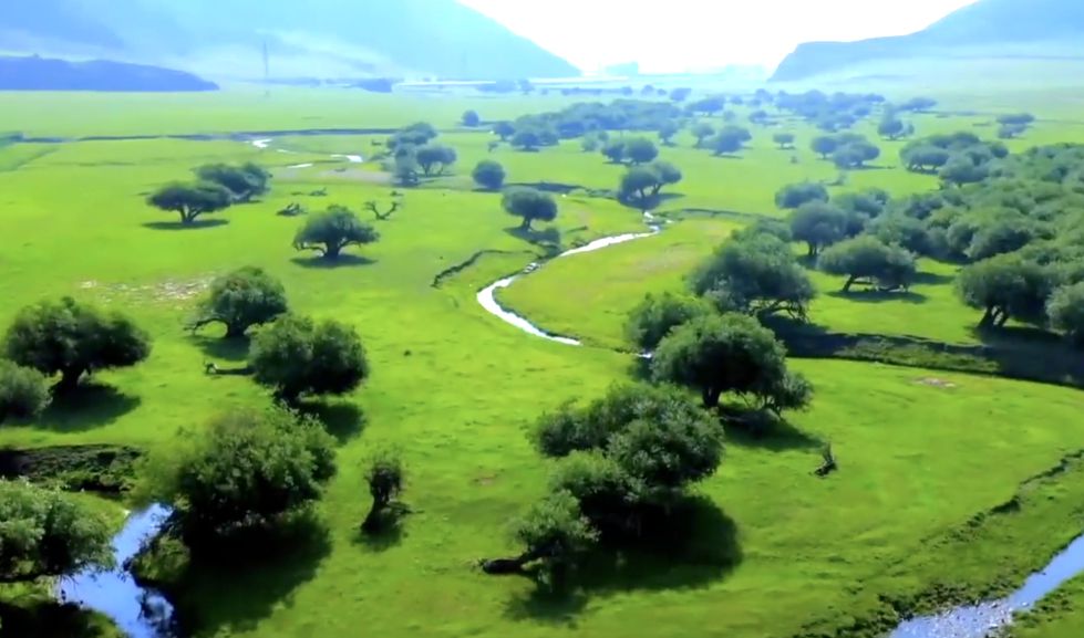 乌力吉沐伦河国家湿地公园