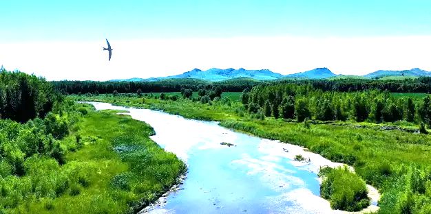 乌力吉沐沦河国家湿地公园
