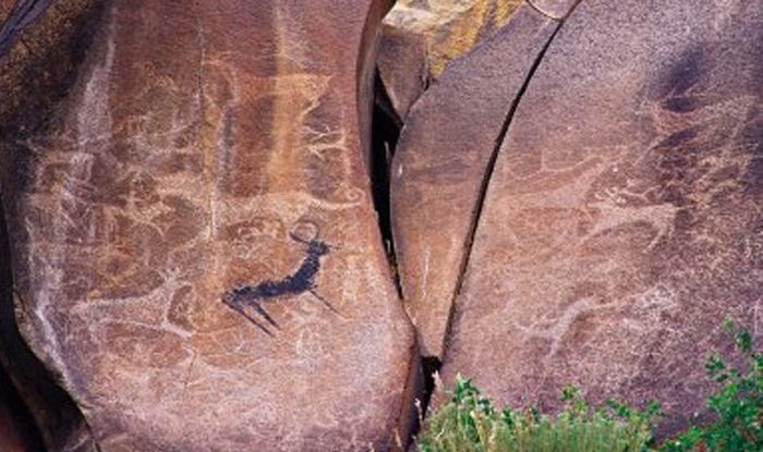 百岔川岩画 百岔川岩画