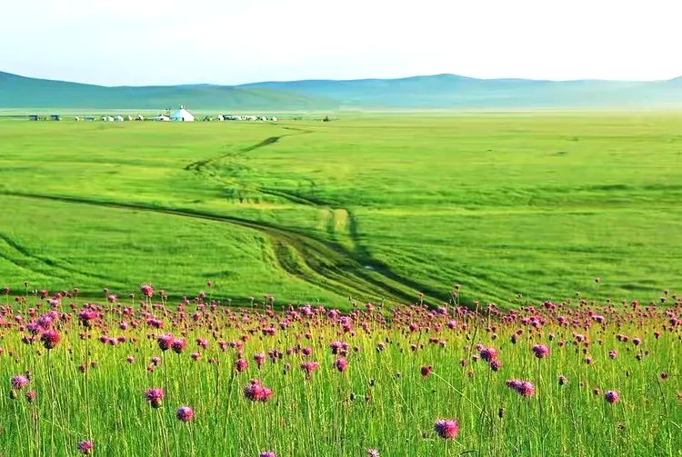 乌兰布统草原 乌兰布统草原