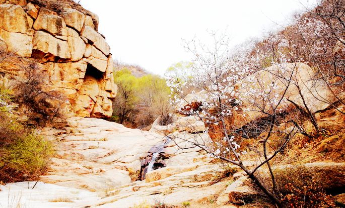 青泉谷自然风景区 青泉谷自然风景区