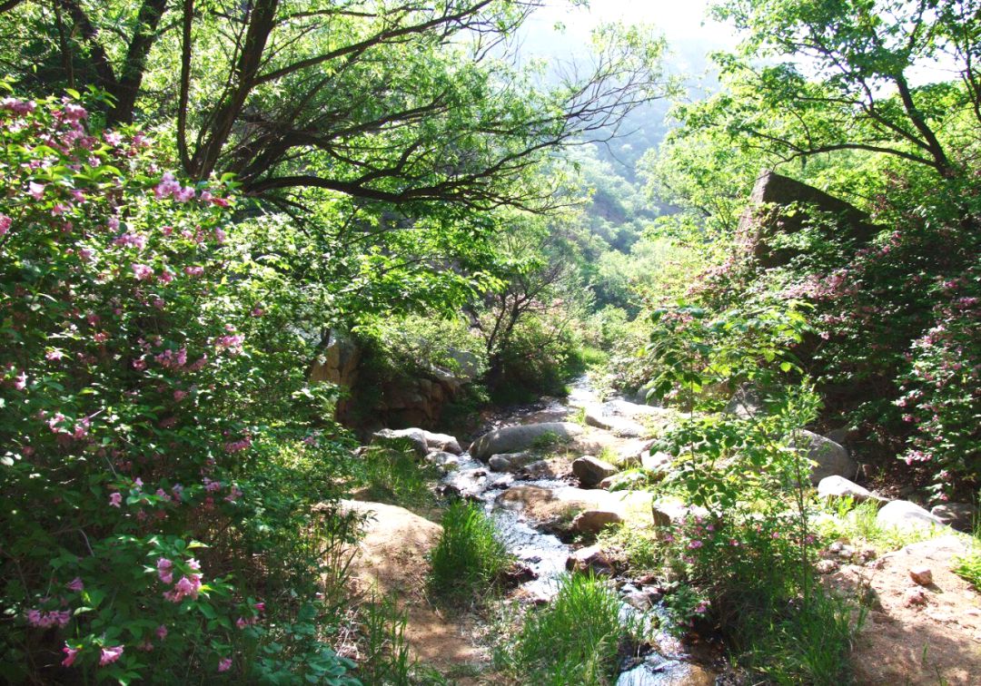 青泉谷自然风景区