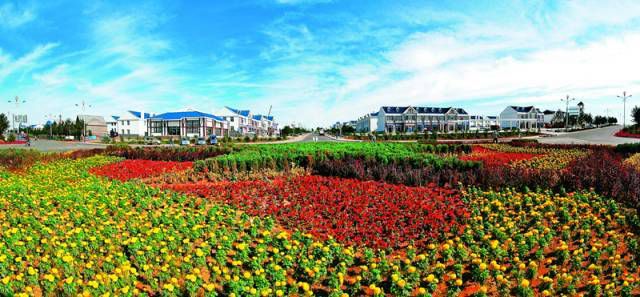 伊金霍洛镇全景 伊金霍洛镇全景